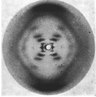 genome